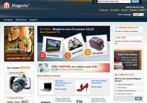 magento ecommerce websites